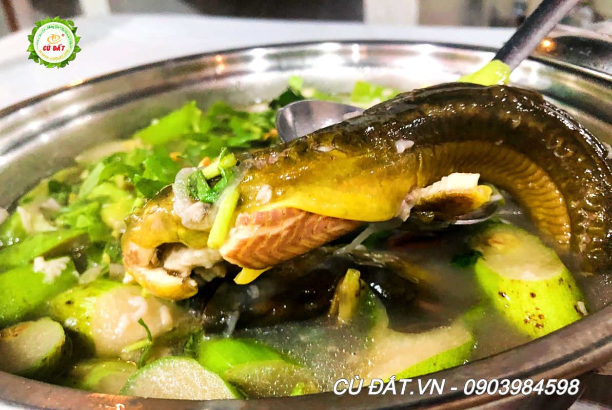 CHÁO MÔN LƯƠN CỦ CHI