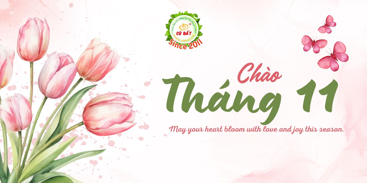 Giao món 2 chao thang 11